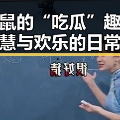 猫与老鼠的“吃瓜”趣事：智慧与欢乐的日常
