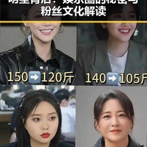 明星背后：娱乐圈的秘密与粉丝文化解读