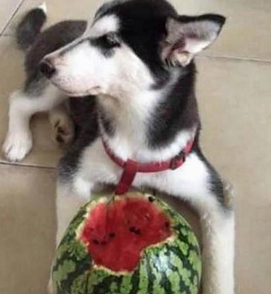 郭老师揭秘娱乐圈幕后故事，引爆吃瓜群众热议