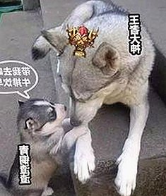 五一假期网络热点背后：国产短视频与娱乐配音的真实面目