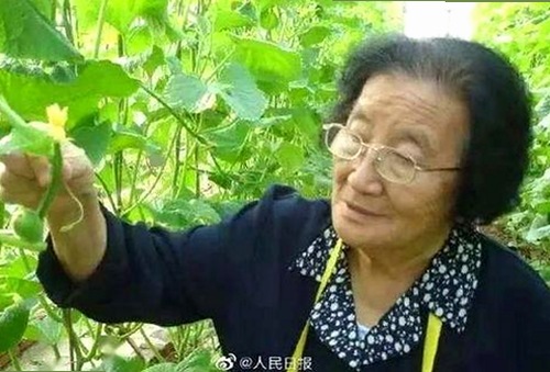 明星“逆风”转型：从争议到行业新标杆的华丽蜕变