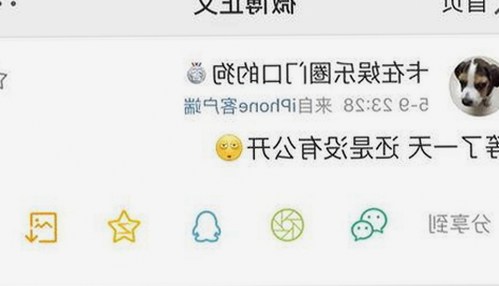 国产绳艺的传承与创新：从传统到现代的蜕变