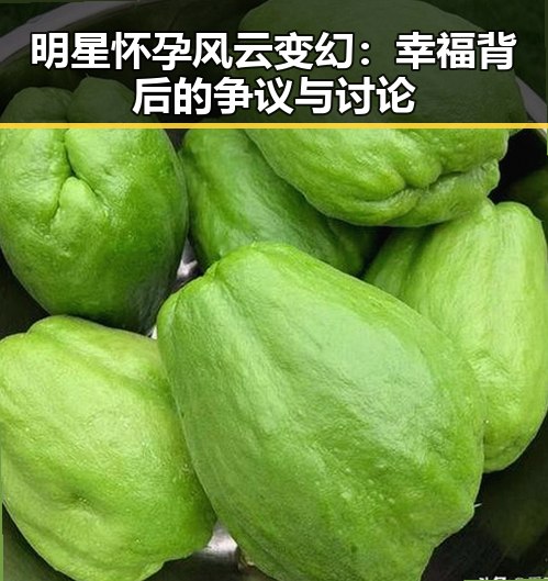 明星怀孕风云变幻：幸福背后的争议与讨论