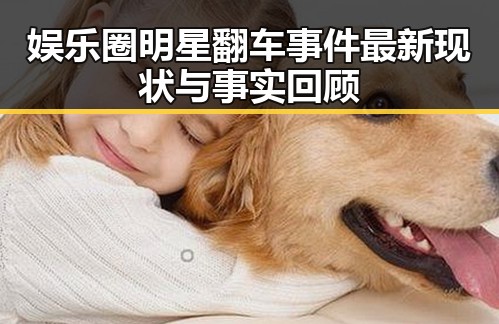 娱乐圈明星翻车事件最新现状与事实回顾