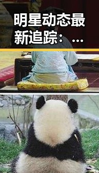 明星动态最新追踪：恋情绯闻与作品表现全面解析