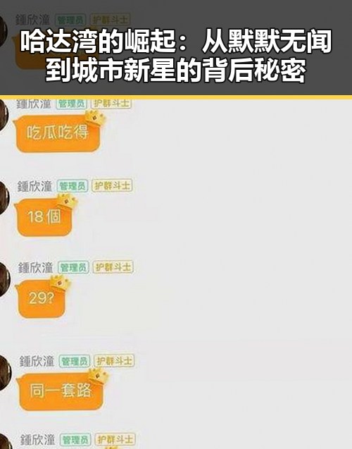 哈达湾的崛起：从默默无闻到城市新星的背后秘密