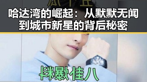 哈达湾的崛起：从默默无闻到城市新星的背后秘密