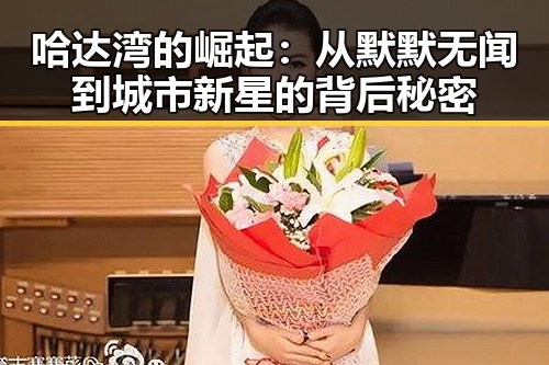 哈达湾的崛起：从默默无闻到城市新星的背后秘密