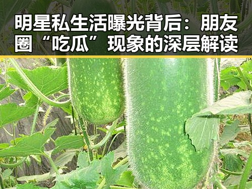 明星私生活曝光背后：朋友圈“吃瓜”现象的深层解读