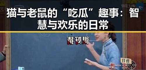 猫与老鼠的“吃瓜”趣事：智慧与欢乐的日常