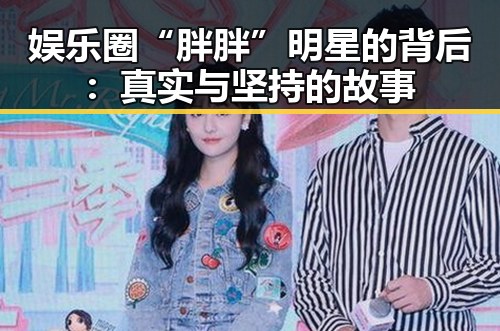 娱乐圈“胖胖”明星的背后：真实与坚持的故事