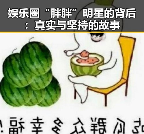娱乐圈“胖胖”明星的背后：真实与坚持的故事