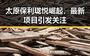 太原保利珑悦崛起，最新项目引发关注